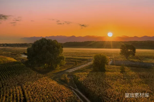 高清摄影 绿树环绕着绿色的草地，在夕阳的映照下。