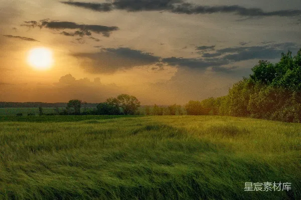 高清摄影 夕阳下的绿草场