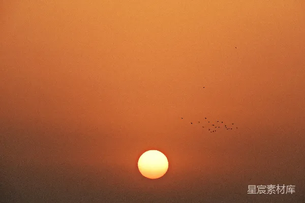 高清摄影 夜空中的满月