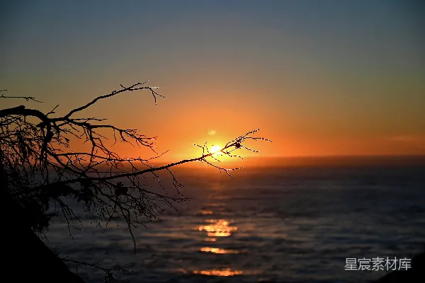 高清摄影 夕阳西下，海面上有一根树干作为前景。