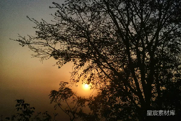 高清摄影 夕阳落在一棵树的后面