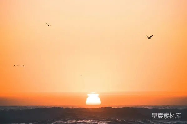 高清摄影 夕阳下海面上飞翔的鸟群轮廓
