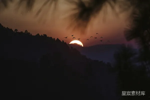 高清摄影 山间夕阳西下，天空中有鸟儿飞翔。