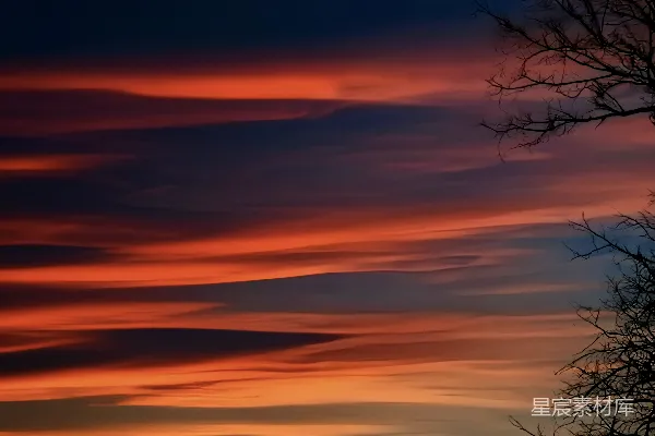 高清摄影 夕阳美景，云霞与树影在前景中
