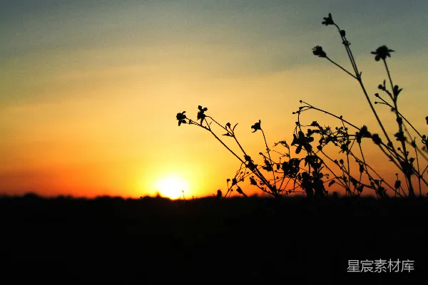 高清摄影 夕阳正沉落在一片田野的地平线上