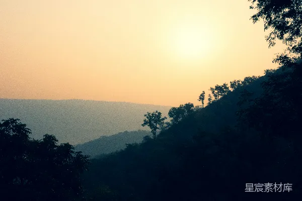 高清摄影 山间树木沐浴在落日的余晖中
