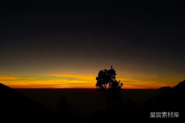 高清摄影 一树孤独地伫立在夕阳之下。