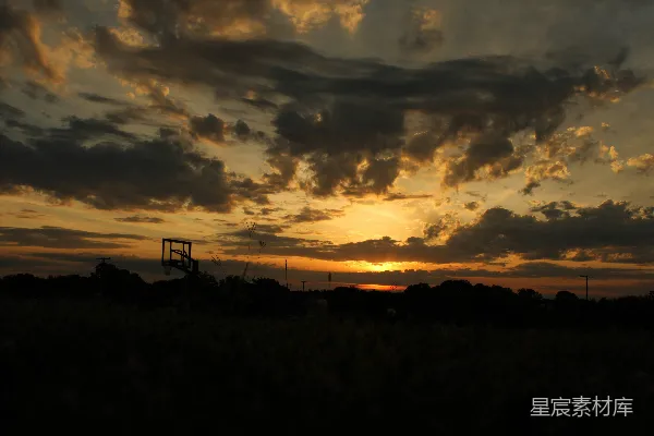 高清摄影 夕阳映照在一片高高的草地上。