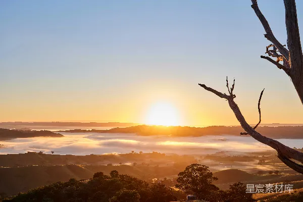 高清摄影 山谷中夕阳西下的场景，前景有一棵树。