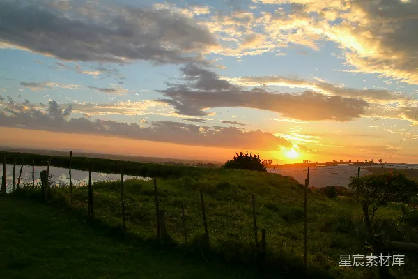 高清摄影 夕阳下的绿色草地