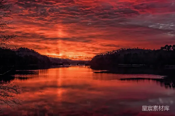 高清摄影 夕阳下树木的轮廓靠近水面