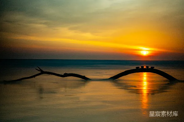 高清摄影 夕阳下的平静海洋中漂浮着一根木头树枝。