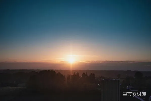 高清摄影 夕阳下的树影轮廓