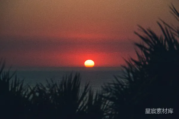 高清摄影 夕阳西下，树木若隐若现。