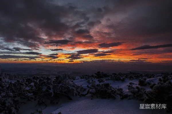高清摄影 一片雪原上的夕阳与树木