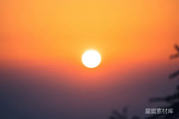 高清摄影 天边的太阳正在落下，笼罩在树梢之间。