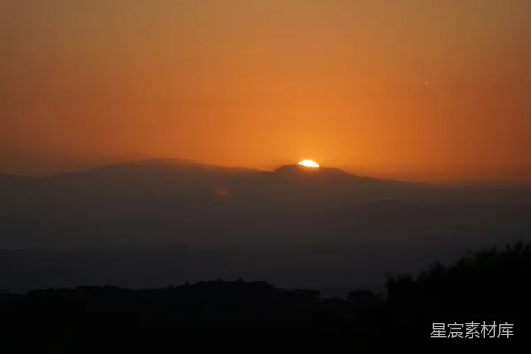 高清摄影 夕阳下的树影轮廓