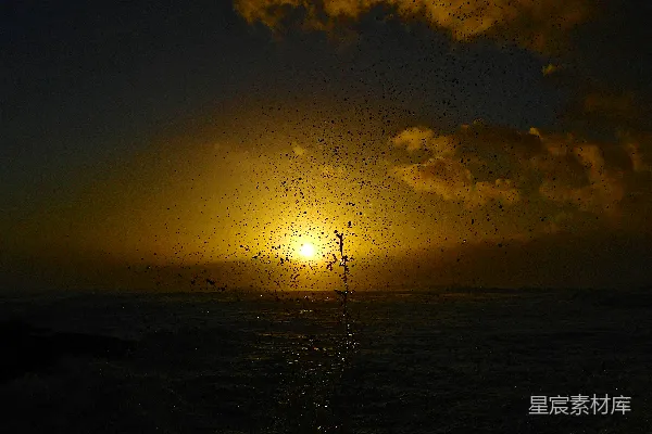 高清摄影 夕阳西下，海面上群鸟飞翔。