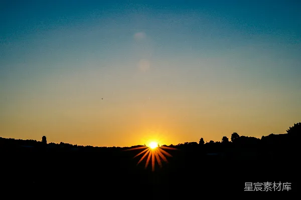 高清摄影 夕阳下树的轮廓