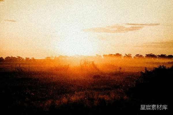 高清摄影 夕阳映照在一片草地上。