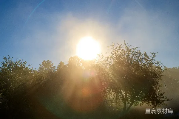 高清摄影 透过树丛的阳光照射过来