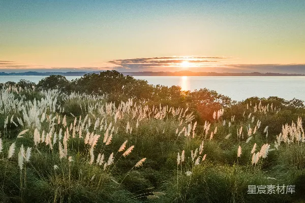 高清摄影 夕阳下草地旁近水面处