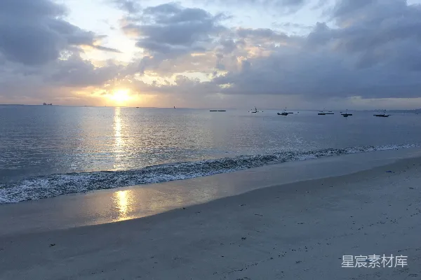 高清摄影 白天海面上飞翔的鸟儿
