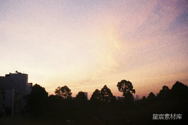 高清摄影 夕阳下的树影轮廓