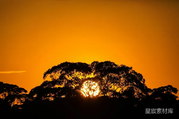 高清摄影 夕阳落在一些树后面
