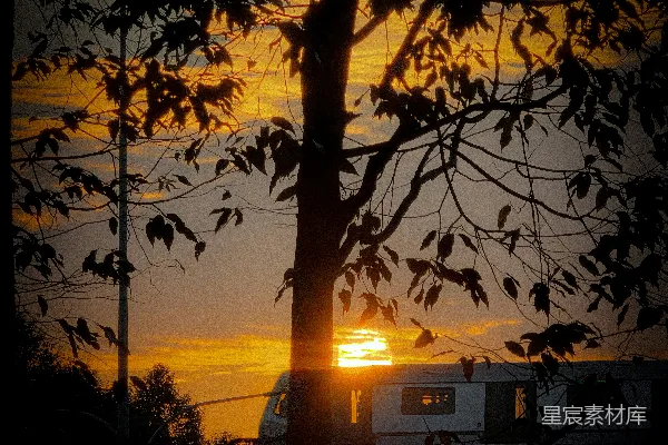 高清摄影 夕阳下树影的轮廓与一个露营者。