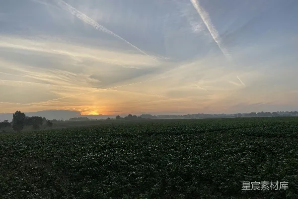 高清摄影 夕阳落下一片麦田之上。