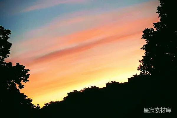 高清摄影 夕阳的色彩给夹在树木之间的天空涂抹上颜色。