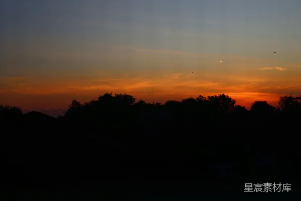 高清摄影 夕阳把轮廓树木染成了一幅天空的画卷。