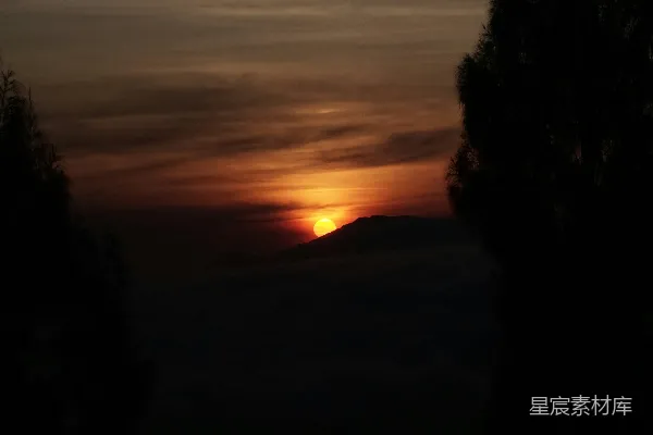 高清摄影 远处的树木之上，太阳正在落山。