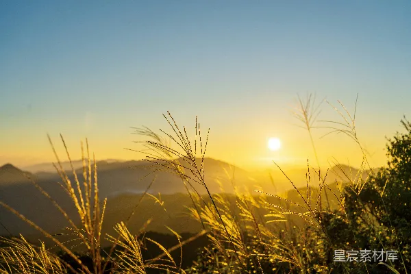 高清摄影 背景中有水和植物的水面，夕阳在远处。