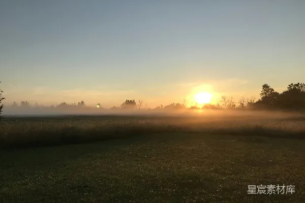 高清摄影 夕阳下的绿草场
