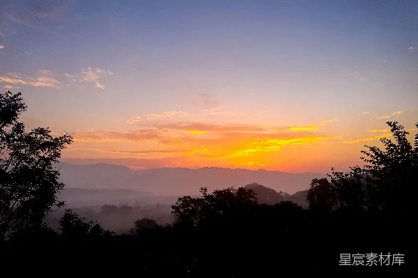 高清摄影 树影下的夕阳