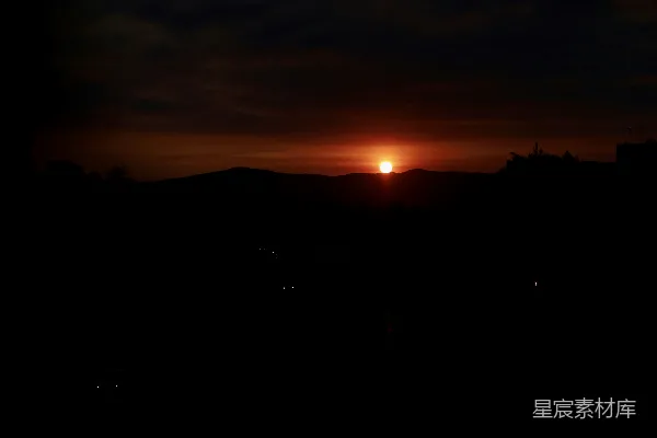 高清摄影 夕阳下的树影轮廓