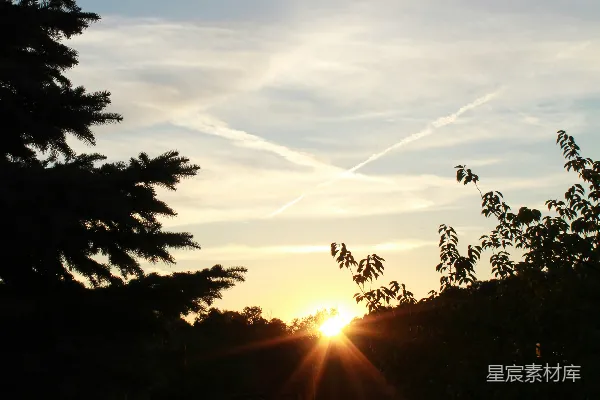 高清摄影 夕阳映照下的绿树晴天