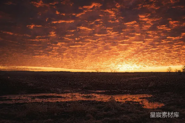 高清摄影 一片田野上的夕阳映照着一个水洼