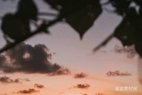 高清摄影 傍晚海滩上的人影轮廓