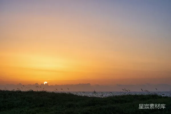 高清摄影 夕阳下的绿草 fields