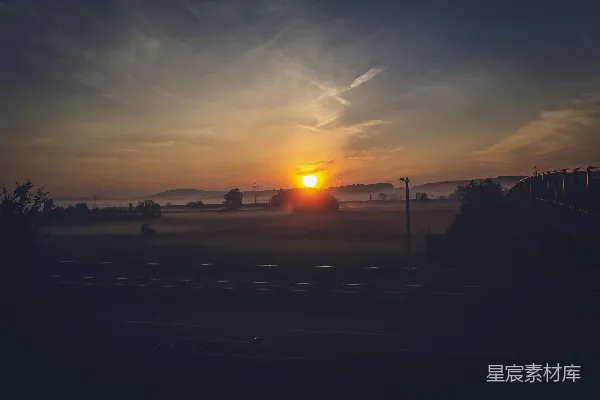 高清摄影 夕阳下的树影轮廓