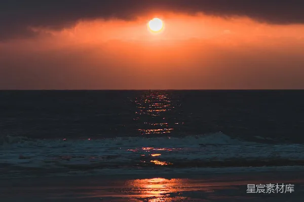 高清摄影 夕阳下飞翔于海洋上的鸟儿
