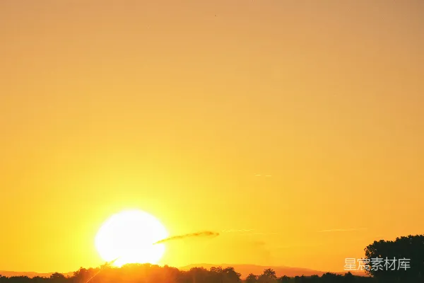 高清摄影 夕阳西下，草地上一片金黄。