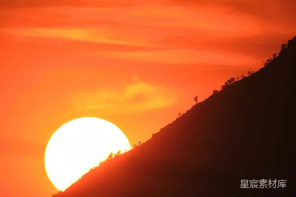 高清摄影 山头有一片树林，太阳正在落山。