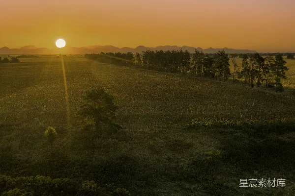 高清摄影 夕阳下的绿色草地