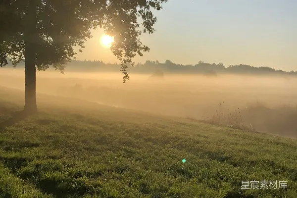 高清摄影 夕阳下的绿草 fields with trees and green grass in the afternoon sunlight