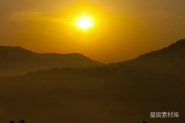 高清摄影 夕阳下的树影轮廓