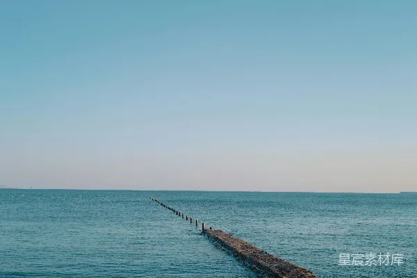 高清摄影 棕色海蓍草靠近蓝色平静的海水在白天
